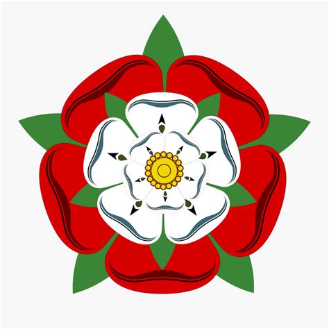 tudor rose no background